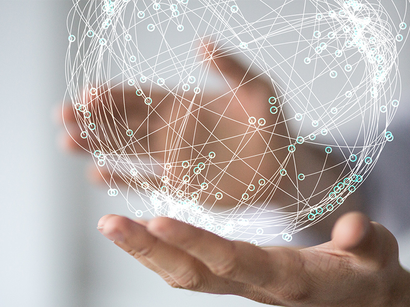 營銷網(wǎng)絡(luò)